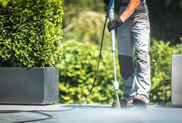 Best House Exterior Washing  in Posen, IL