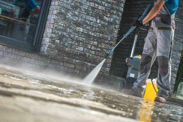 Best Graffiti Removal  in Posen, IL