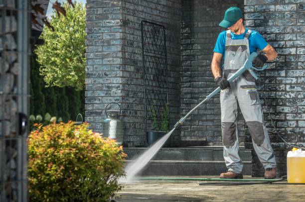 Best Solar Panel Cleaning  in Posen, IL