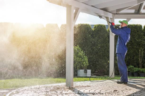 Best Dumpster Area Cleaning  in Posen, IL