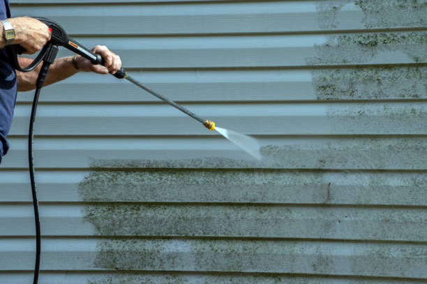 Best Driveway Pressure Washing  in Posen, IL