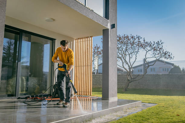Best Sidewalk and Walkway Cleaning  in Posen, IL