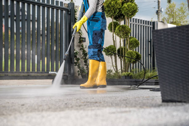 Animal Enclosure Cleaning in Posen, IL